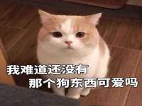 南通汇奇金属材料有限公司