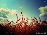 南通汇奇金属材料有限公司