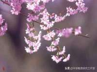 南通汇奇金属材料有限公司