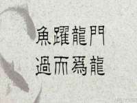 南通汇奇金属材料有限公司