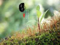 南通汇奇金属材料有限公司