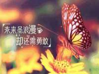 南通汇奇金属材料有限公司