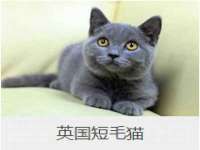 南通汇奇金属材料有限公司