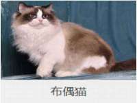 南通汇奇金属材料有限公司