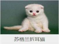 南通汇奇金属材料有限公司