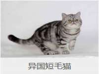 南通汇奇金属材料有限公司