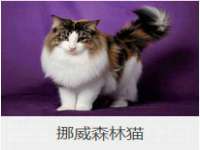 南通汇奇金属材料有限公司