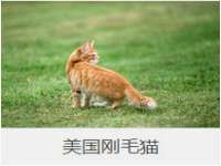 南通汇奇金属材料有限公司