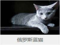 南通汇奇金属材料有限公司