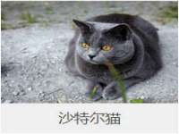 南通汇奇金属材料有限公司