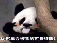 南通汇奇金属材料有限公司