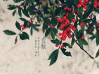 南通汇奇金属材料有限公司