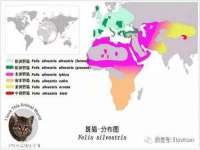 南通汇奇金属材料有限公司