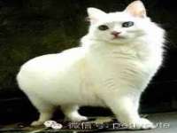 南通汇奇金属材料有限公司