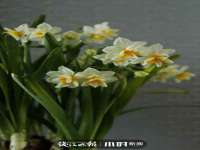 南通汇奇金属材料有限公司