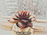 南通汇奇金属材料有限公司