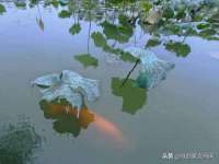 南通汇奇金属材料有限公司