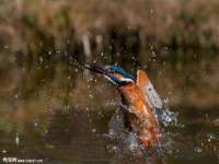 南通汇奇金属材料有限公司