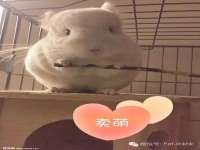 南通汇奇金属材料有限公司