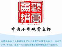 南通汇奇金属材料有限公司