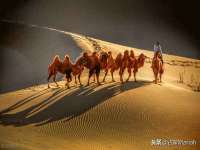 南通汇奇金属材料有限公司