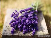 南通汇奇金属材料有限公司
