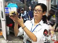 南通汇奇金属材料有限公司