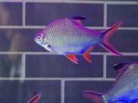 南通汇奇金属材料有限公司